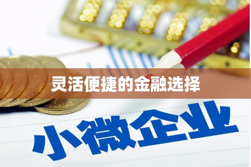 布袋灵活便捷的金融选择